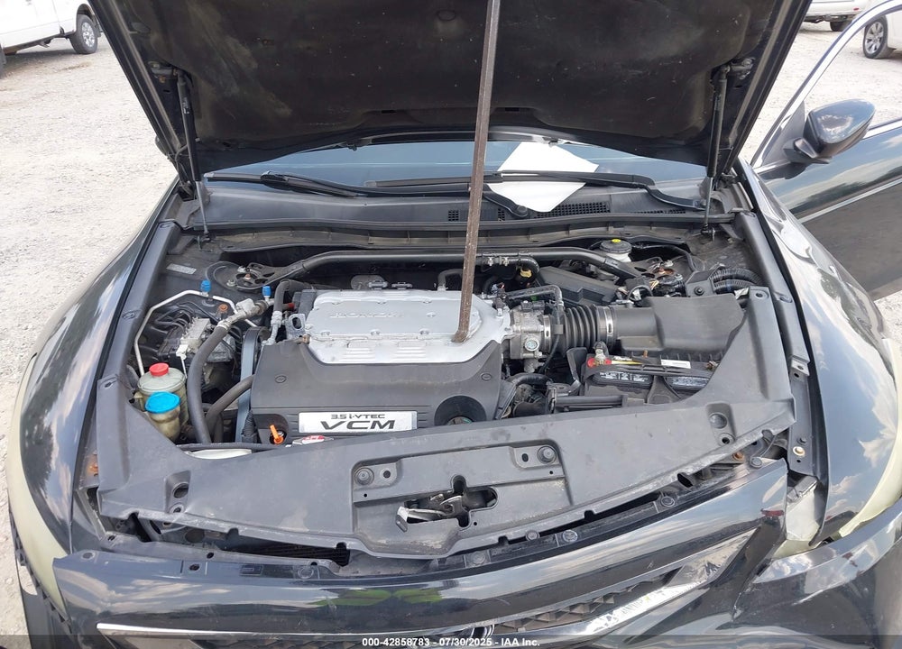 2010 HONDA ACCORD VIN: 1HGCS2B84AA007388