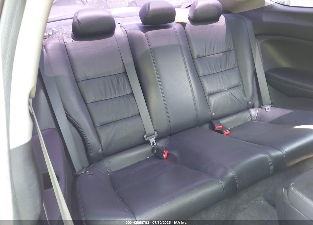 2010 HONDA ACCORD VIN: 1HGCS2B84AA007388