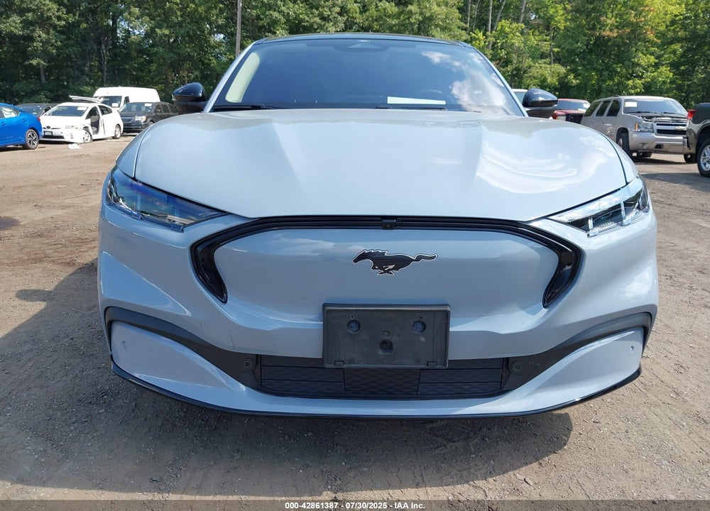 2024 FORD MUSTANG MACH-E PREMIUM VIN: 3FMTK3SU5RMA43361