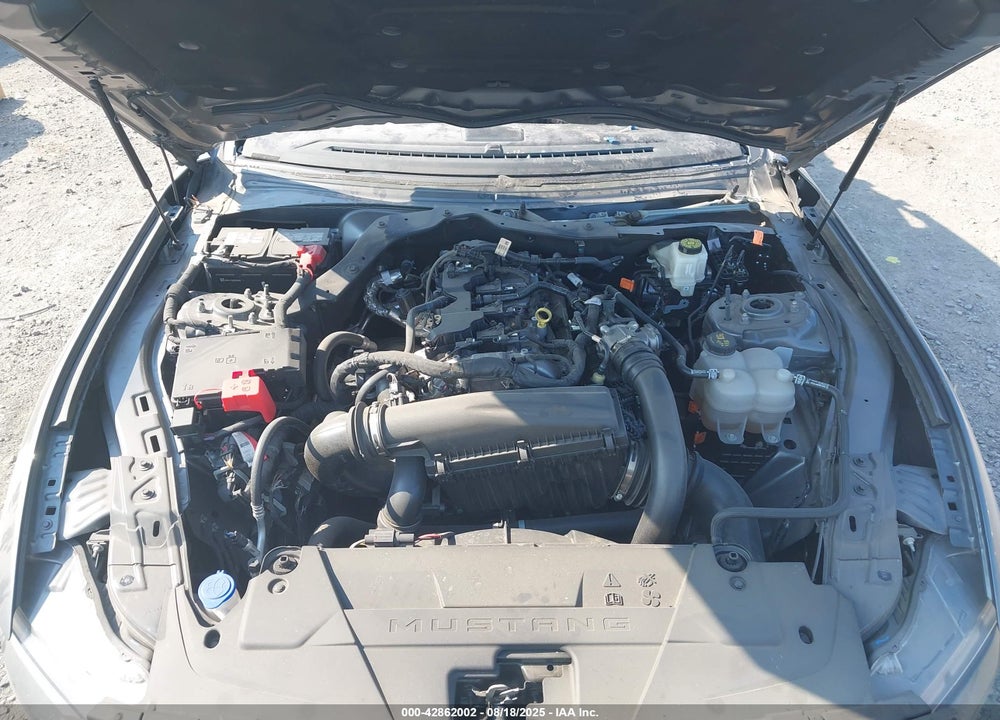 2024 FORD MUSTANG ECOBOOST FASTBACK VIN: 1FA6P8TH6R5112247