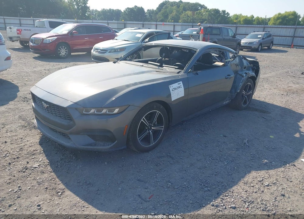 2024 FORD MUSTANG ECOBOOST FASTBACK VIN: 1FA6P8TH6R5112247