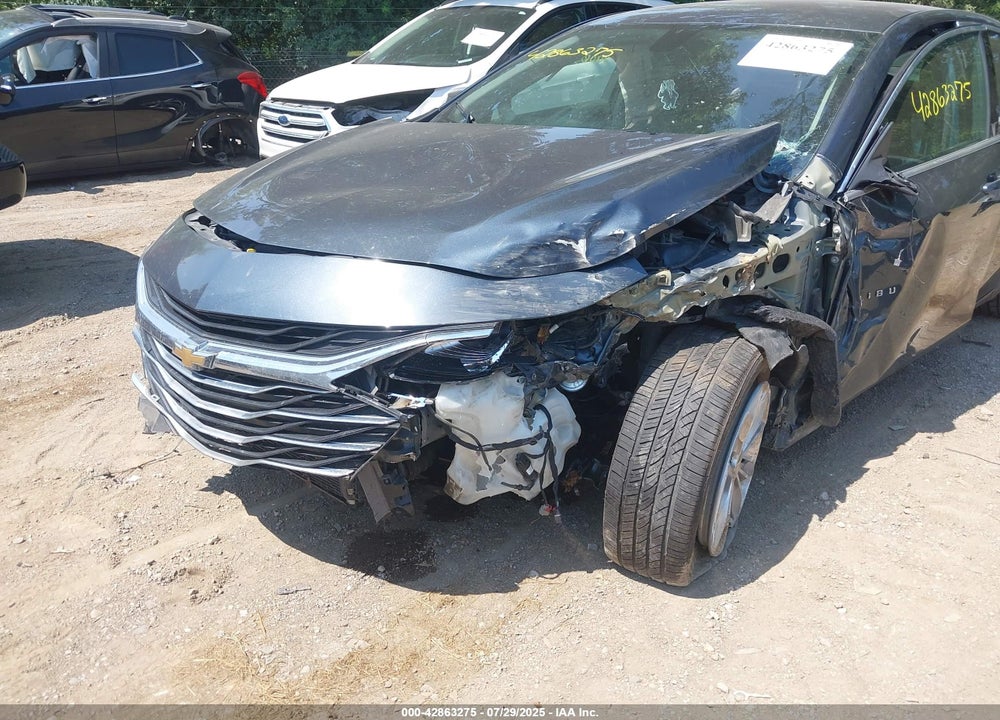 2019 CHEVROLET MALIBU VIN: 1G1ZD5ST8KF216008
