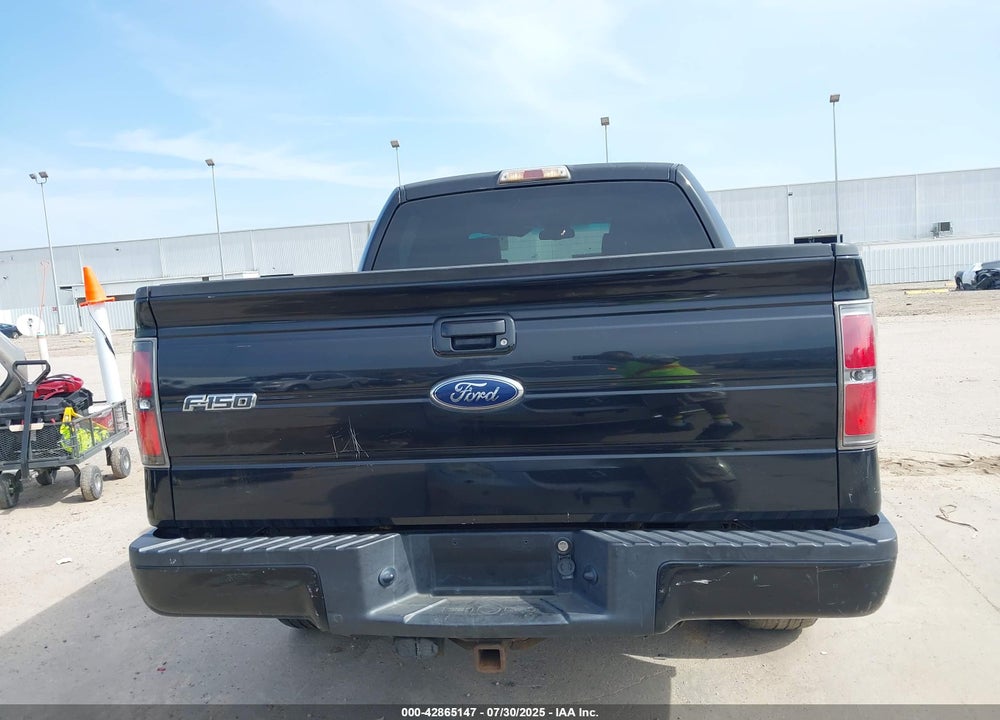 2010 FORD F-150 VIN: 1FTEW1C82AKC01643