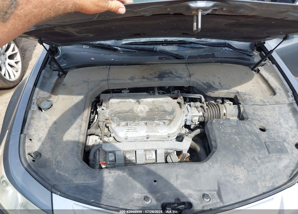 2010 ACURA TL 3.5 VIN: 19UUA8F24AA013773