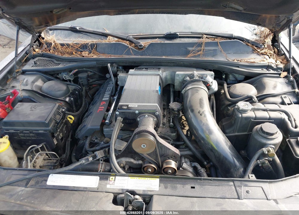 2009 DODGE CHALLENGER SRT8 VIN: 2B3LJ74W49H623701