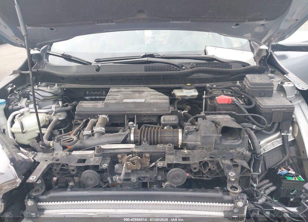 2019 HONDA CR-V VIN: 5J6RW2H8XKL037189