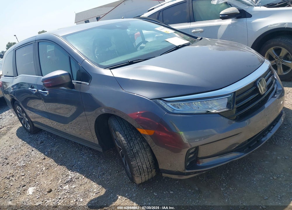 2024 HONDA ODYSSEY EX-L VIN: 5FNRL6H68RB039153