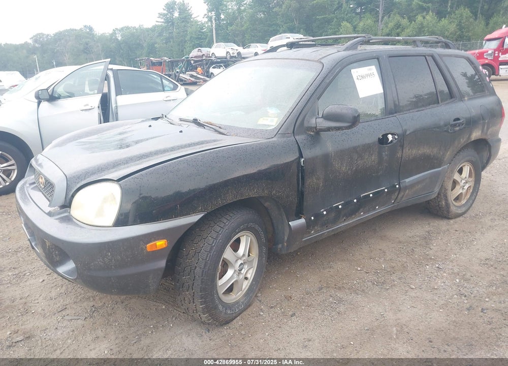 2004 HYUNDAI SANTA FE VIN: KM8SB12B24U715492