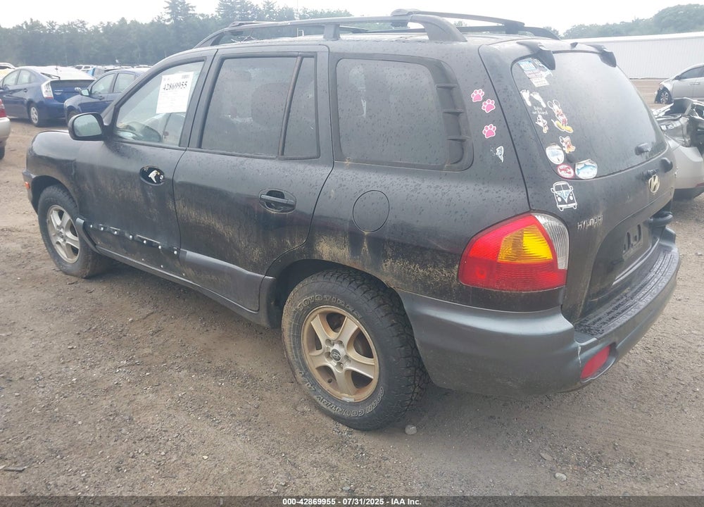 2004 HYUNDAI SANTA FE VIN: KM8SB12B24U715492