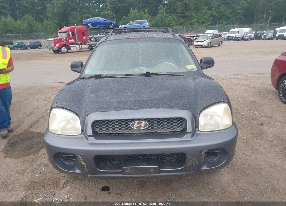 2004 HYUNDAI SANTA FE VIN: KM8SB12B24U715492