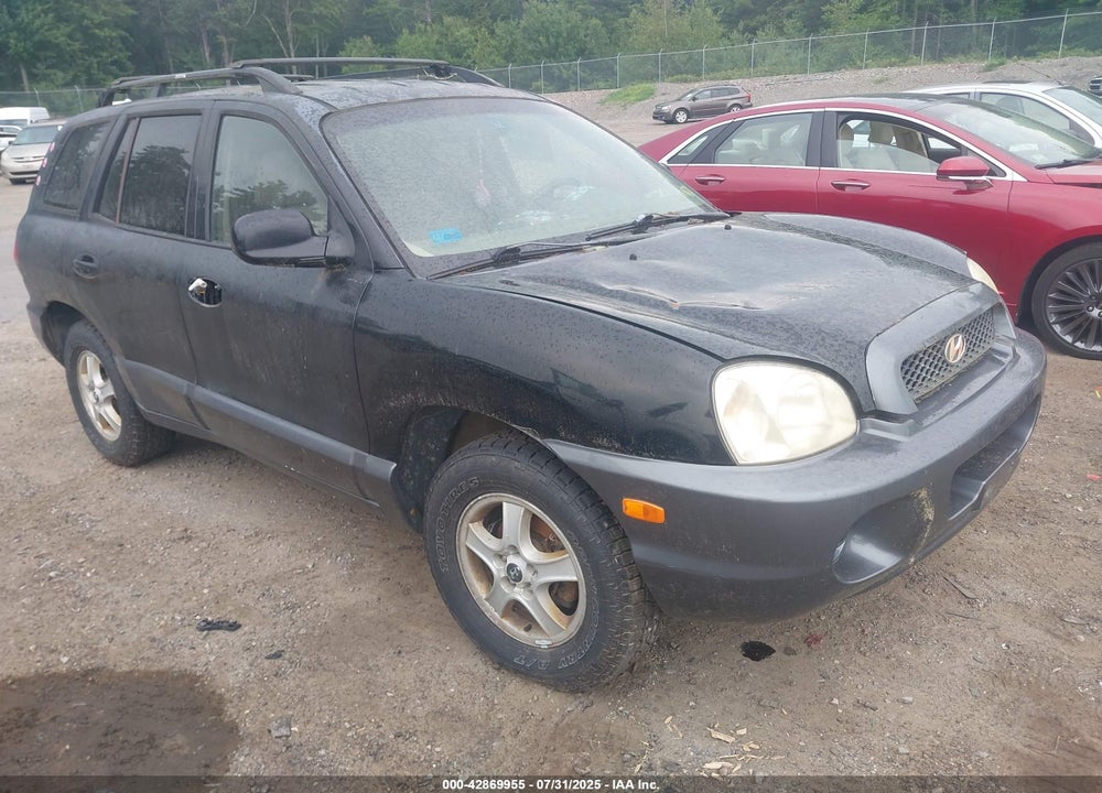 2004 HYUNDAI SANTA FE VIN: KM8SB12B24U715492