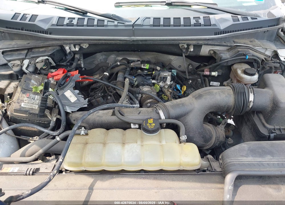2019 FORD F-150 VIN: 1FTEW1EP9KFD24628