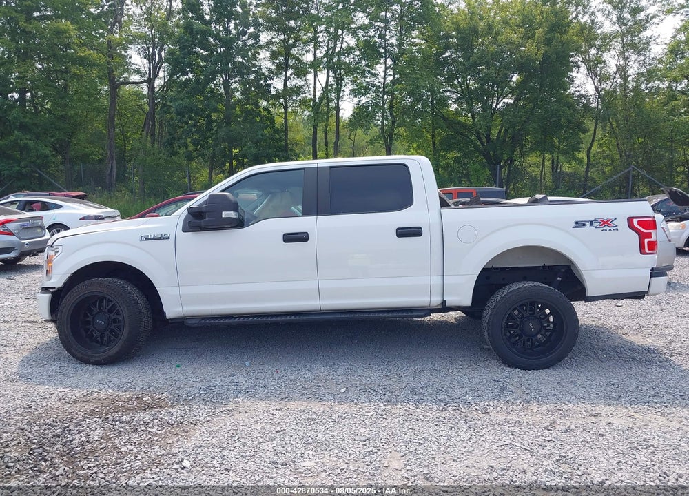 2019 FORD F-150 VIN: 1FTEW1EP9KFD24628