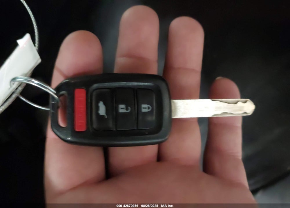 2019 HONDA CR-V VIN: 5J6RW6H38KL003022