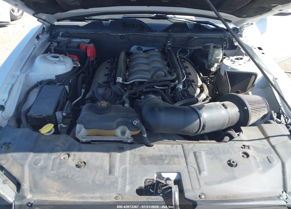 2014 FORD MUSTANG VIN: 1ZVBP8CF5E5309568