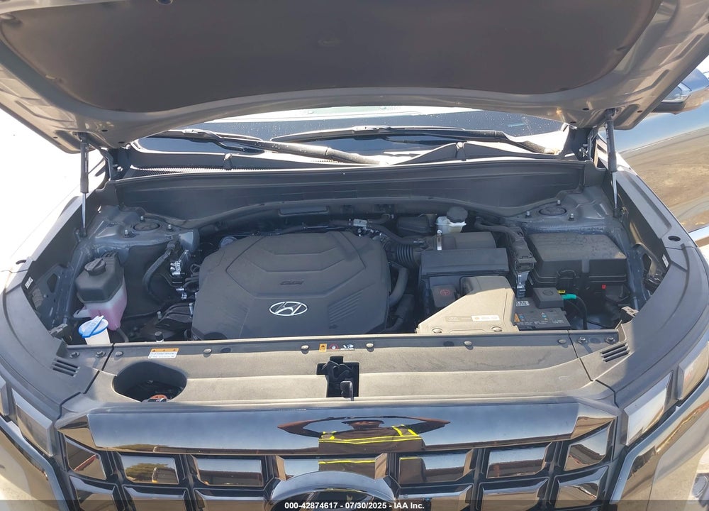 2023 HYUNDAI PALISADE VIN: KM8R4DGE8PU623448