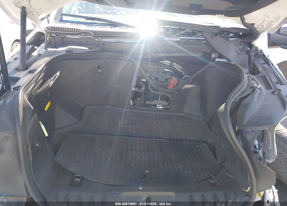 2024 FORD F-150 LIGHTNING VIN: 1FTVW3LK0RWG20067