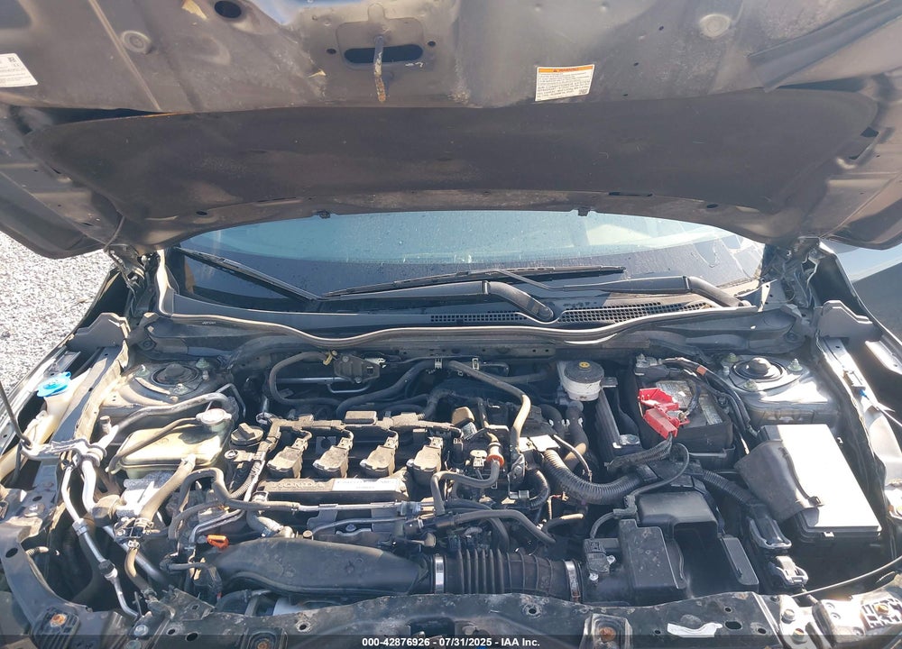 2019 HONDA CIVIC VIN: SHHFK7G49KU221217