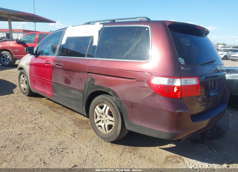 2007 HONDA ODYSSEY EX-L VIN: 5FNRL38677B442679