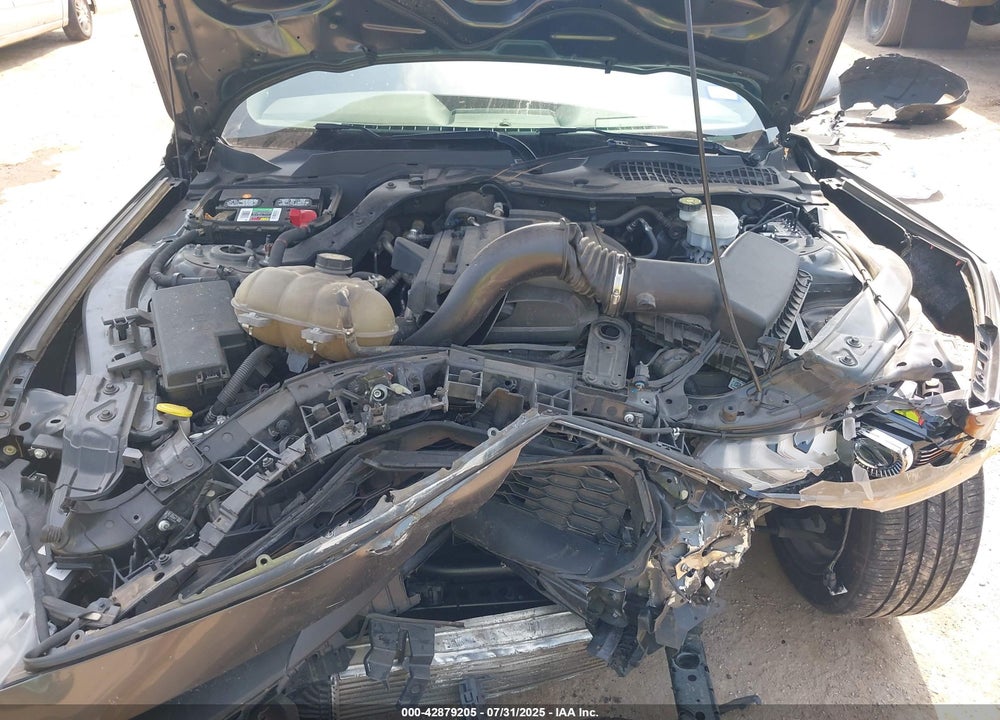 2019 FORD MUSTANG ECOBOOST VIN: 1FA6P8TH1K5204257
