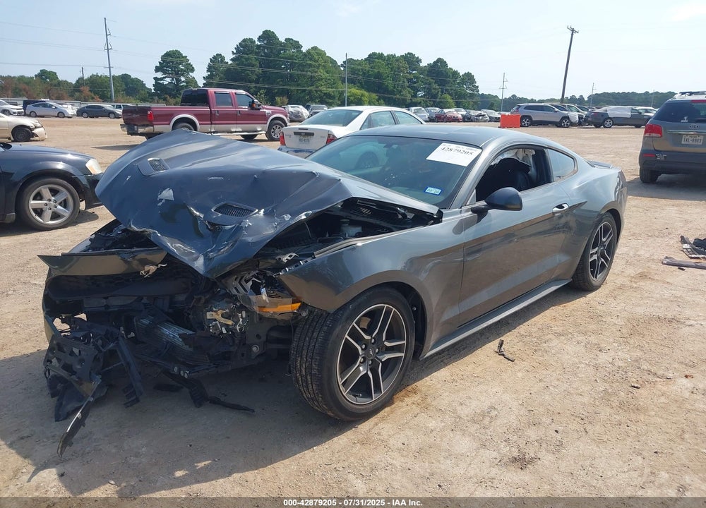 2019 FORD MUSTANG ECOBOOST VIN: 1FA6P8TH1K5204257