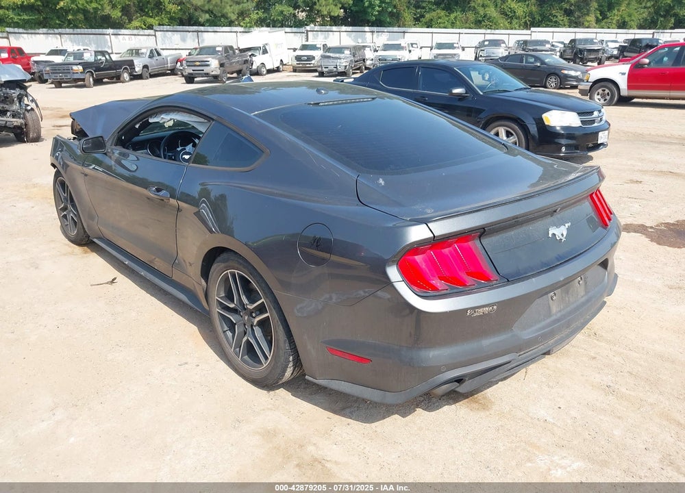 2019 FORD MUSTANG ECOBOOST VIN: 1FA6P8TH1K5204257