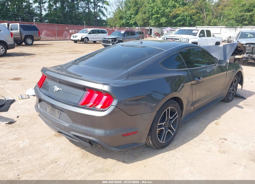 2019 FORD MUSTANG ECOBOOST VIN: 1FA6P8TH1K5204257