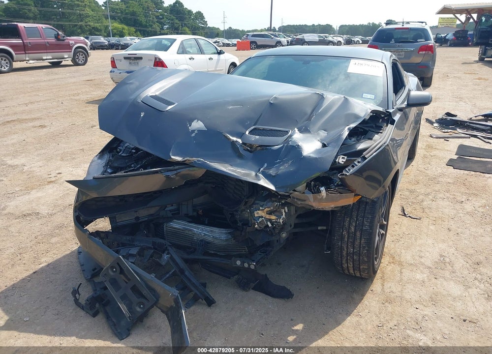 2019 FORD MUSTANG ECOBOOST VIN: 1FA6P8TH1K5204257