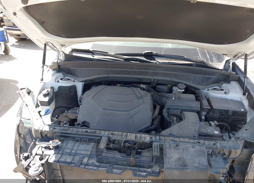 2023 KIA TELLURIDE VIN: 5XYP5DGC3PG365574