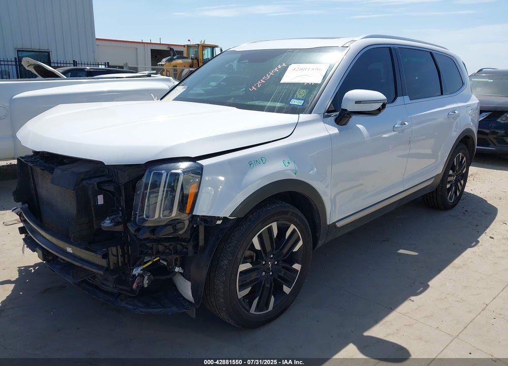 2023 KIA TELLURIDE VIN: 5XYP5DGC3PG365574