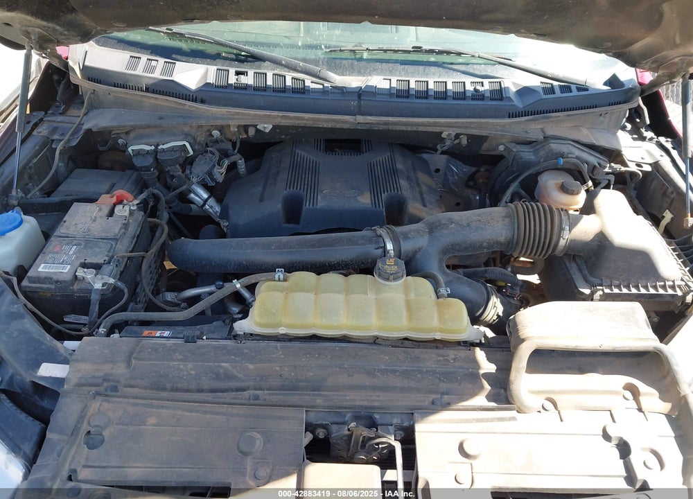 2019 FORD F-150 VIN: 1FTEW1E4XKKE61574
