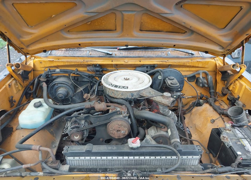 1989 DODGE D-SERIES D100 VIN: 1B7FE06Y8KS163513