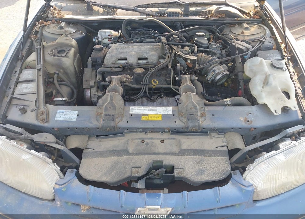 1998 CHEVROLET LUMINA VIN: 2G1WL52MXW1116066