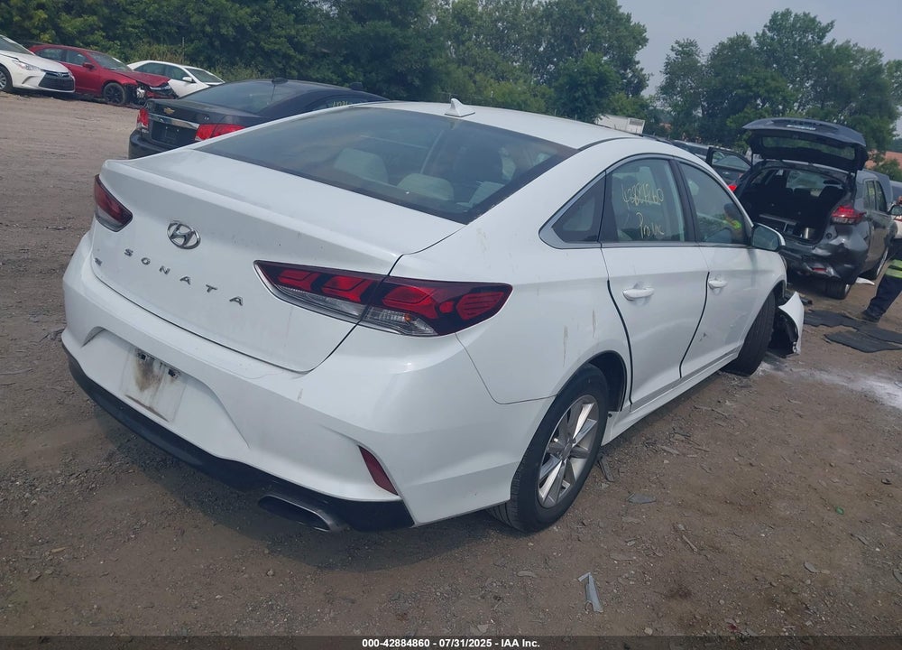 2019 HYUNDAI SONATA VIN: 5NPE24AF7KH763097