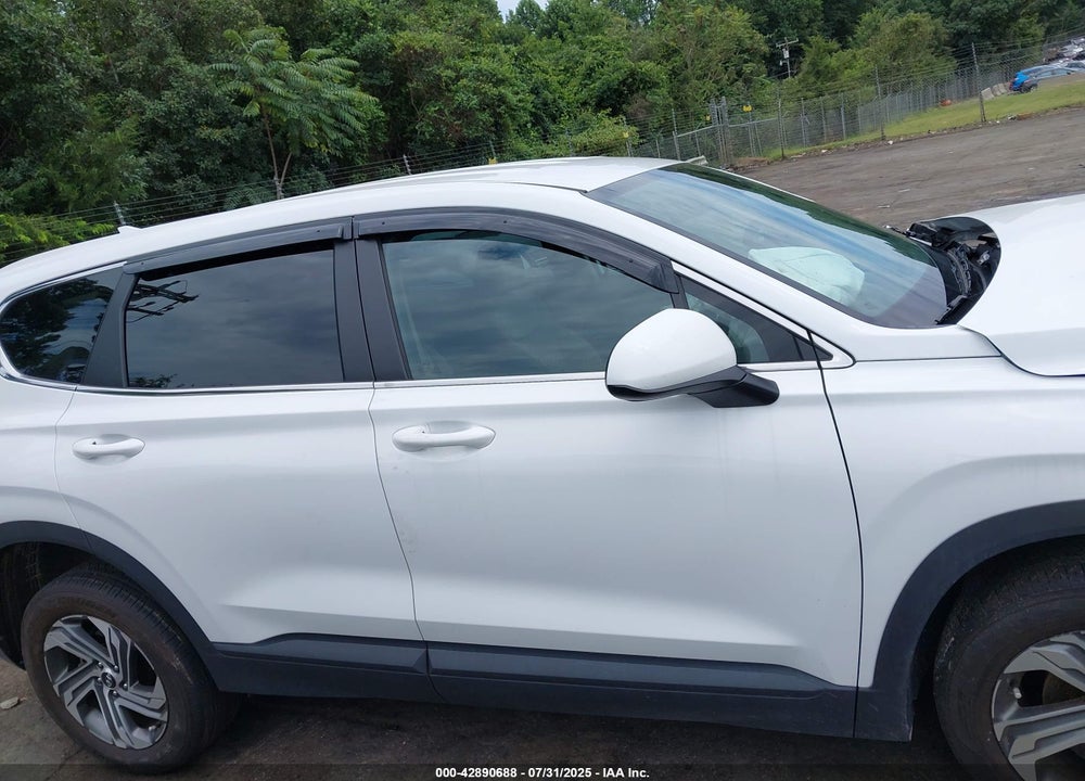 2023 HYUNDAI SANTA FE VIN: 5NMS1DAJ6PH619023