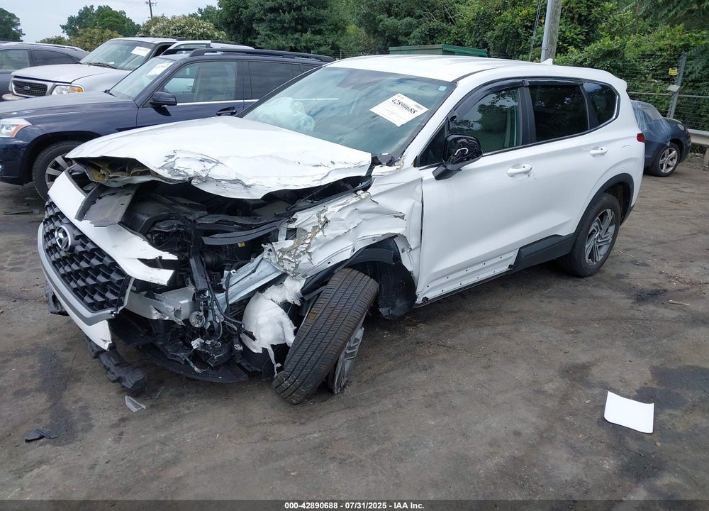 2023 HYUNDAI SANTA FE VIN: 5NMS1DAJ6PH619023
