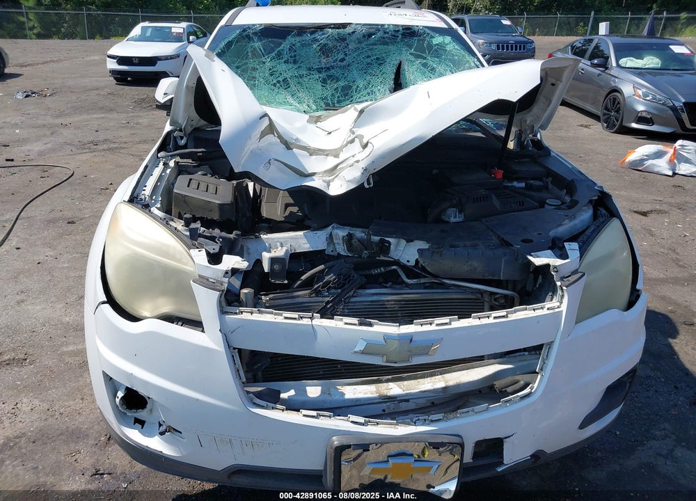 2010 CHEVROLET EQUINOX VIN: 2CNFLDEY5A6218267