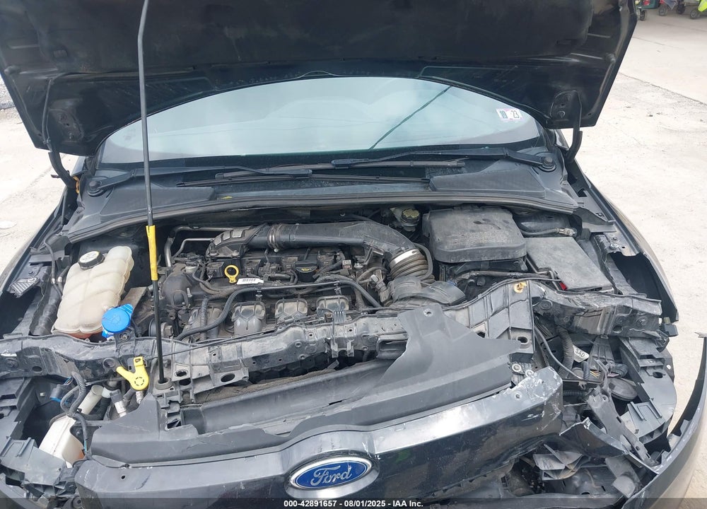 2013 FORD FOCUS VIN: 1FADP3L94DL294702