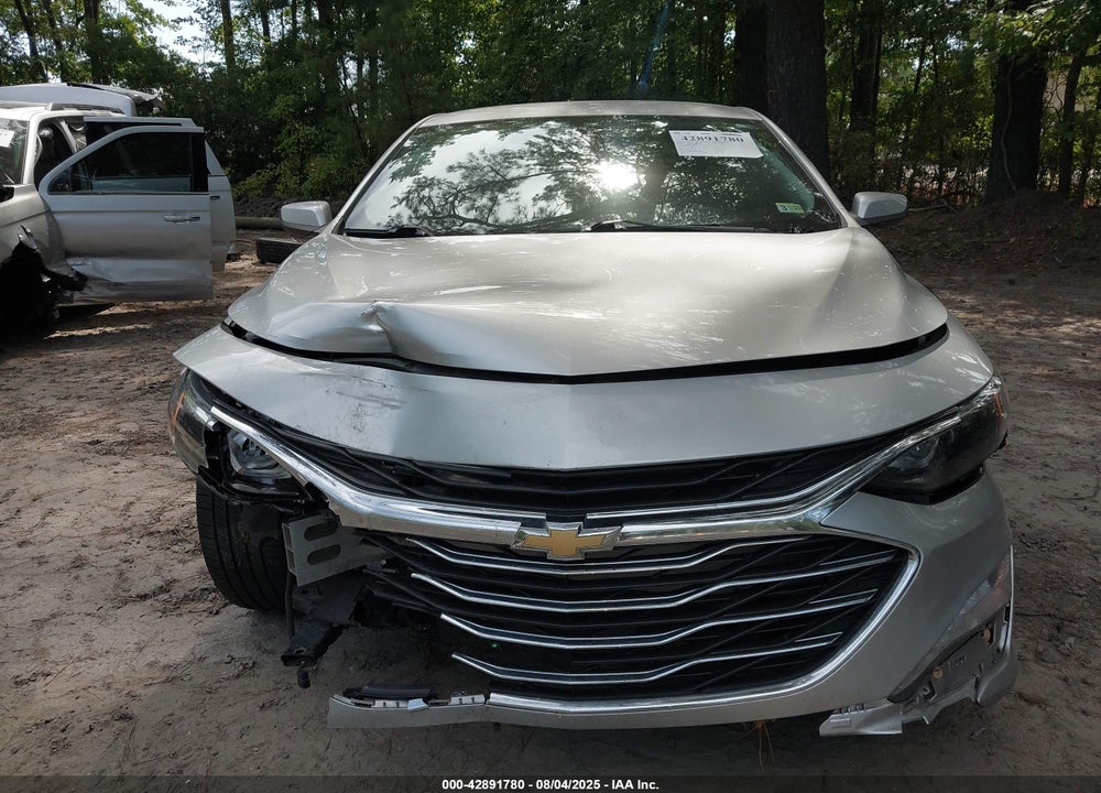 2019 CHEVROLET MALIBU VIN: 1G1ZD5ST1KF181540