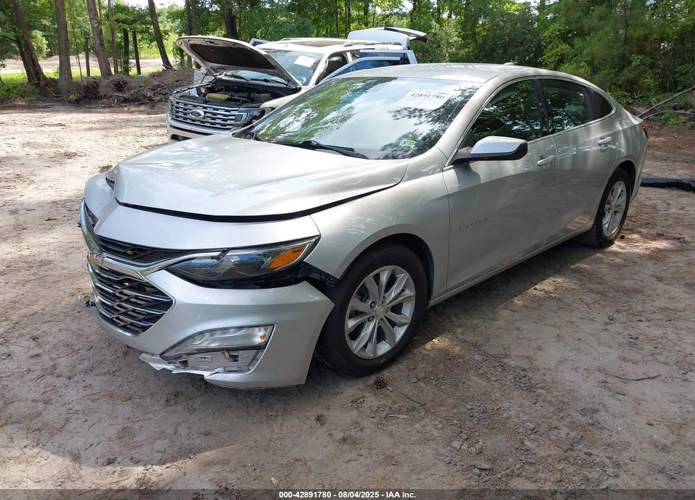 2019 CHEVROLET MALIBU VIN: 1G1ZD5ST1KF181540