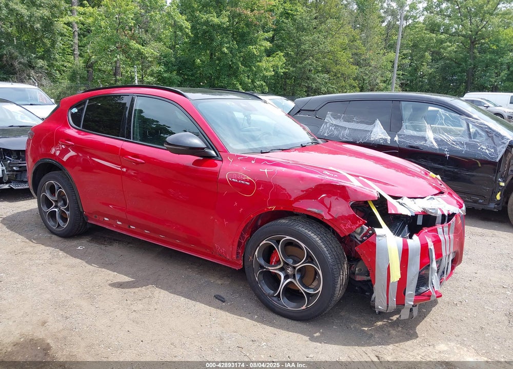 2024 ALFA ROMEO STELVIO VIN: ZASPAKBN0R7D79058