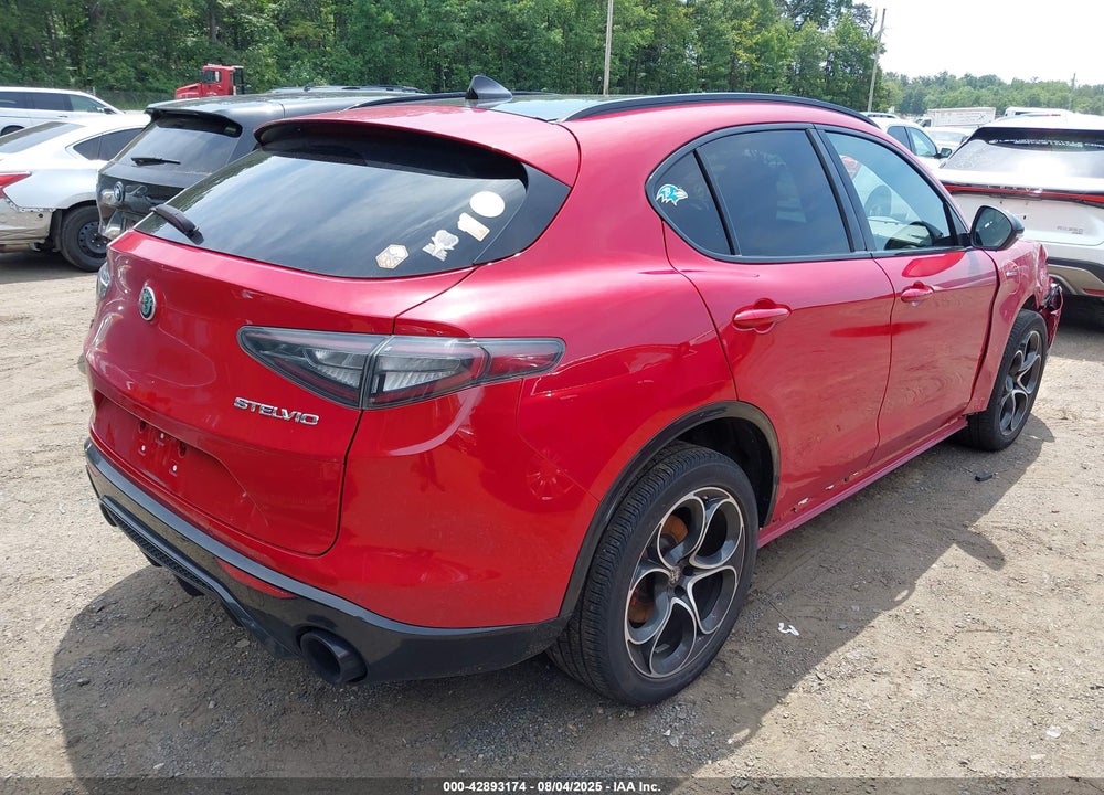 2024 ALFA ROMEO STELVIO VIN: ZASPAKBN0R7D79058