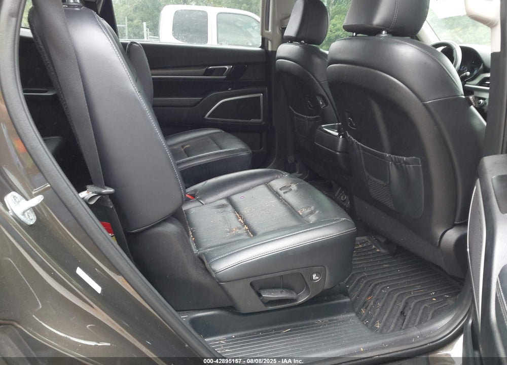 2020 KIA TELLURIDE VIN: 5XYP6DHC6LG018911