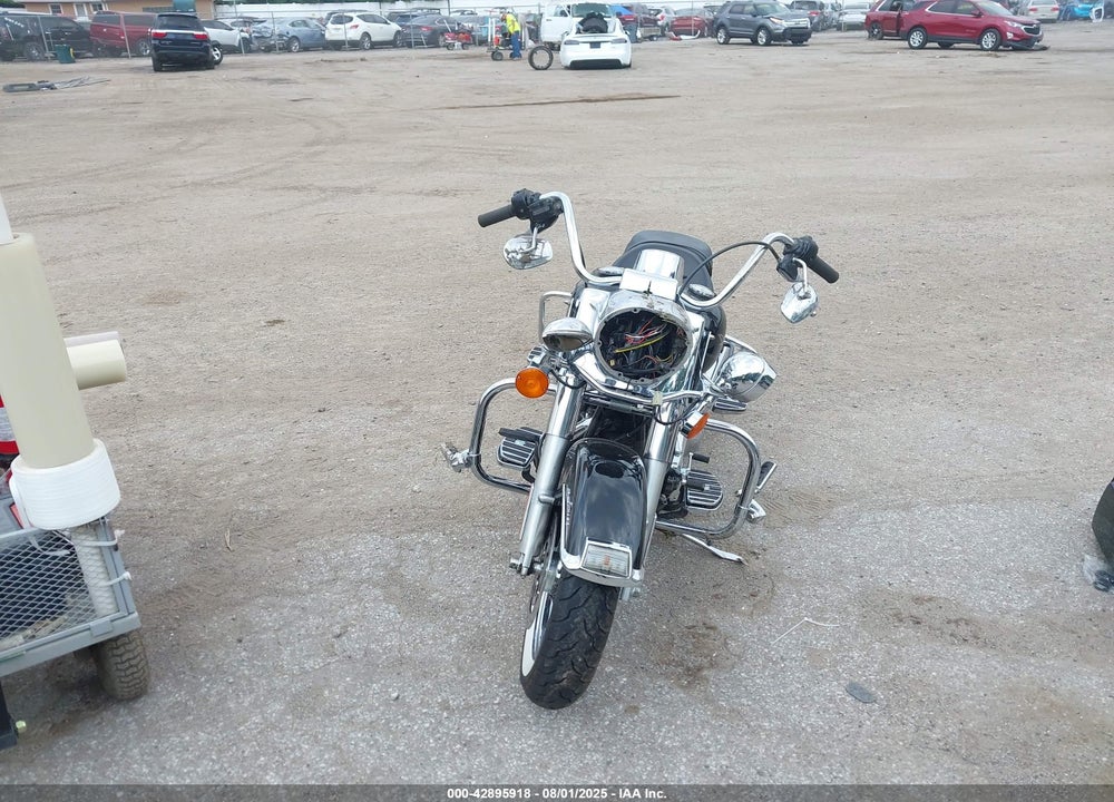 2010 HARLEY-DAVIDSON FLHR VIN: 1HD1FB410AB669021