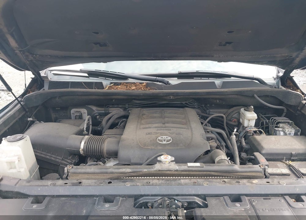 2019 TOYOTA TUNDRA VIN: 5TFDY5F11KX835445
