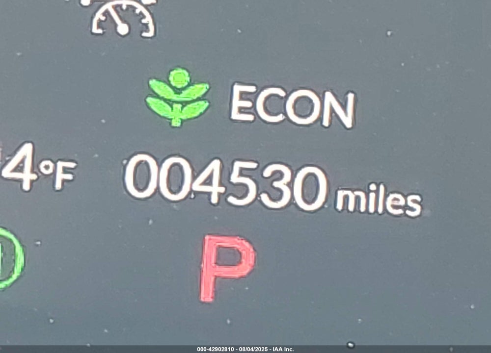 2024 HONDA CIVIC VIN: 2HGFE2F55RH591947