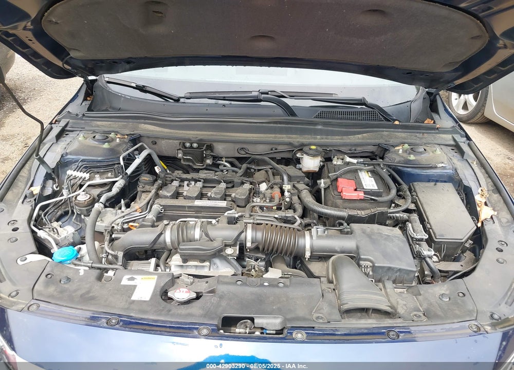 2019 HONDA ACCORD VIN: 1HGCV1F17KA069738