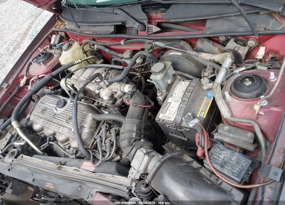 1994 FORD ESCORT LX/SPORT VIN: 1FARP11J7RW195899