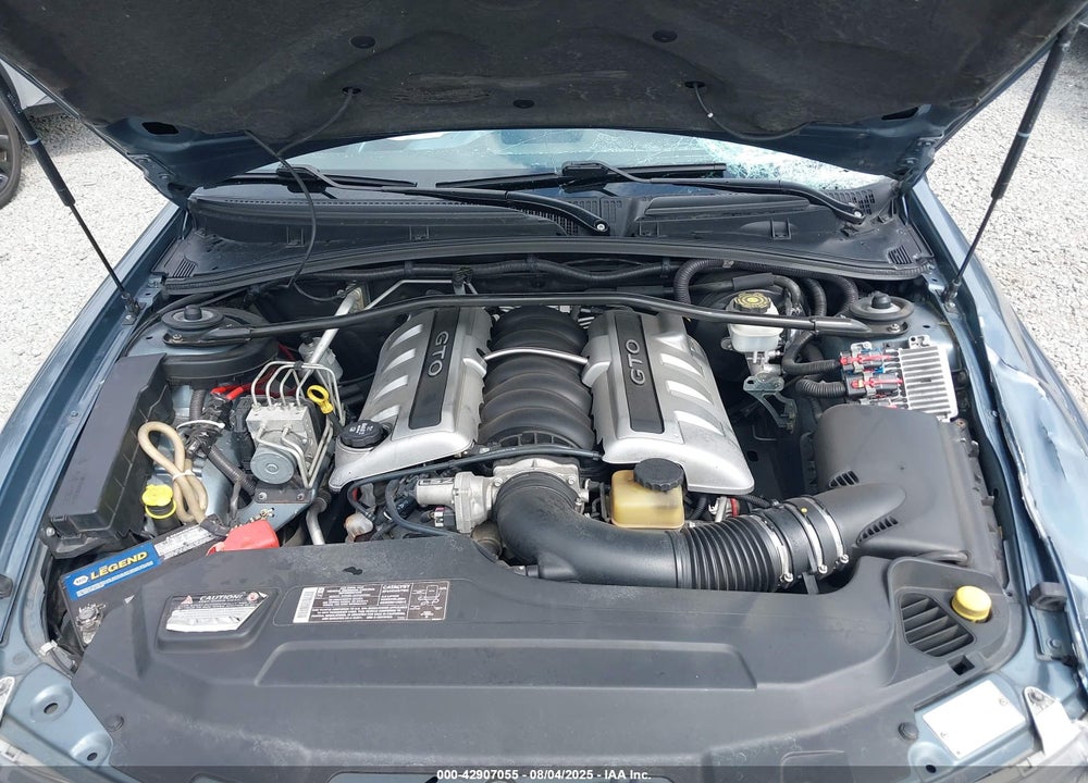 2006 PONTIAC GTO VIN: 6G2VX12U76L557140