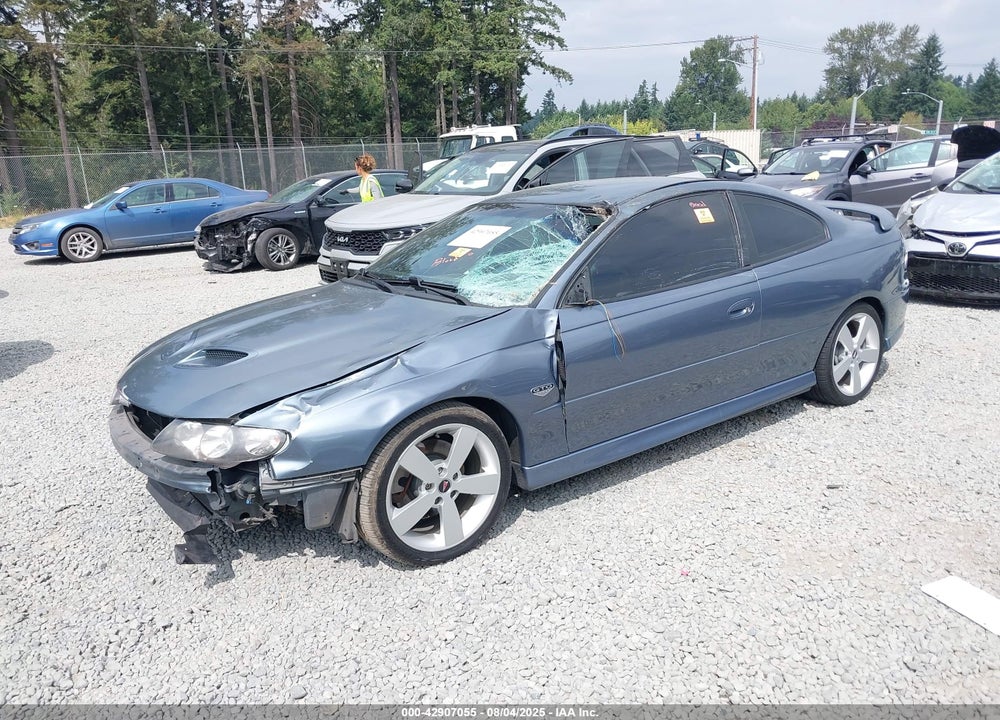 2006 PONTIAC GTO VIN: 6G2VX12U76L557140